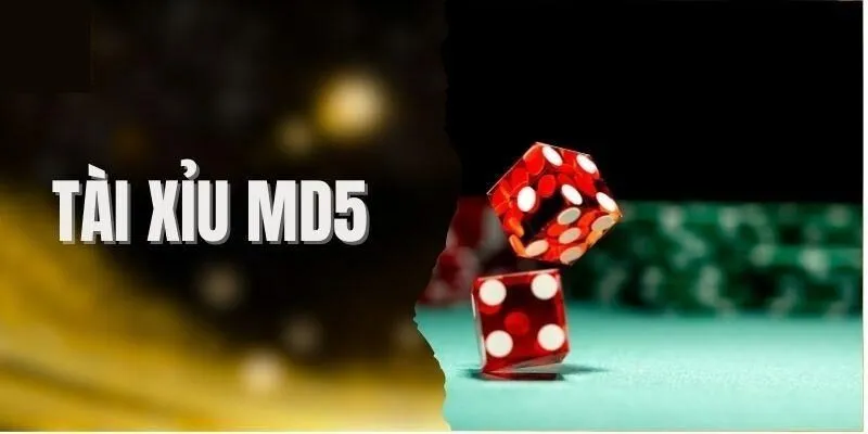 Tính năng hấp dẫn chir có tại tài xỉu MD5 Rikvip